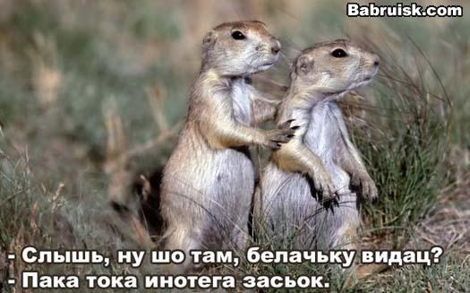 пятничные животные