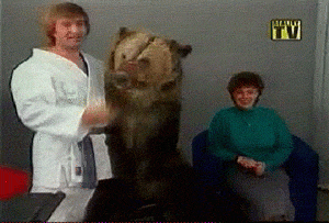 медвед