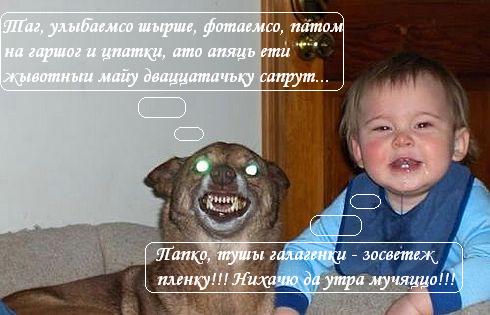 серко