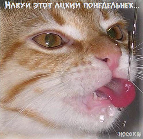 адский понедельник