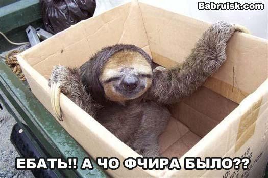 хуета