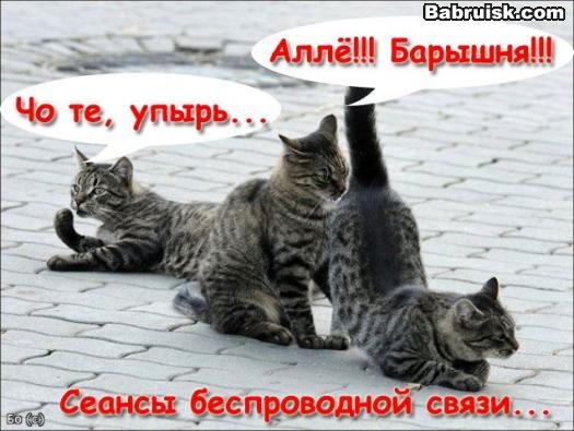 беспроводная связь