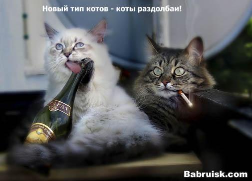 раздолбаи