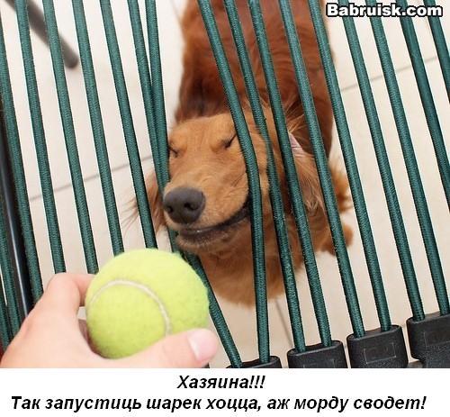 шарик