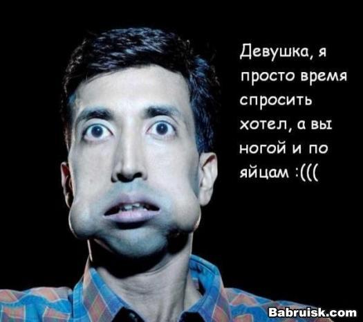 яйца