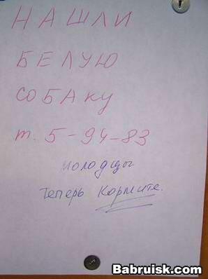пропала собака