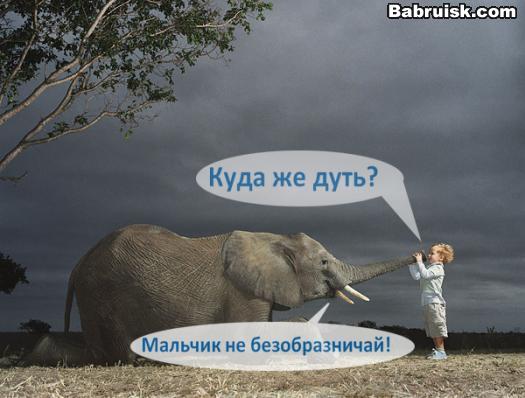 слону вдули
