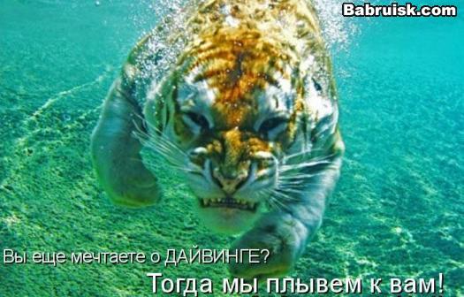 подводный тигр