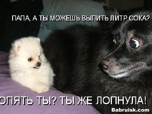 ты же лопнешь