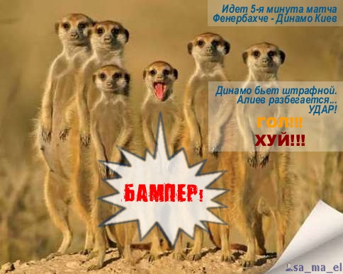 бампер и фенербахче