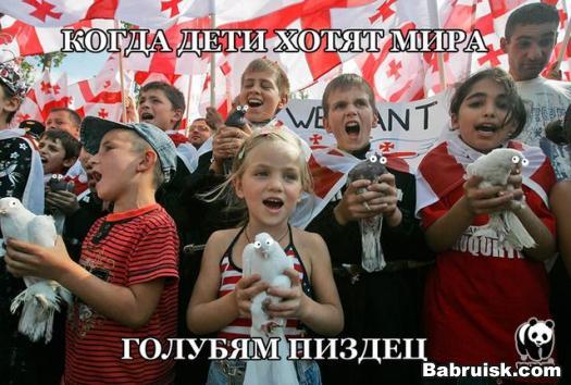 голуби мира