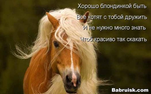 блондинка. Коней к компу не пускать!