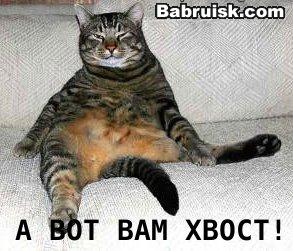 кот с хвостом, но без х...
