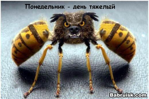 понедельник