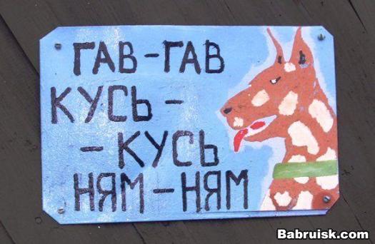 во дворе злая собака
