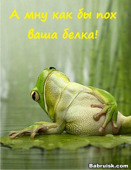 охуевшая лягушка