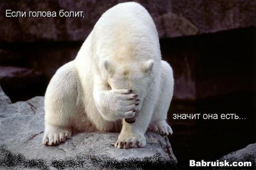 больной медвед