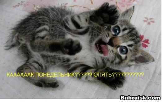 понедельник