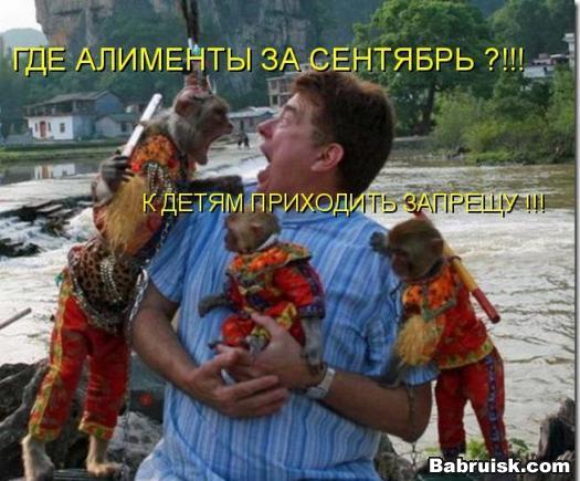 алименты