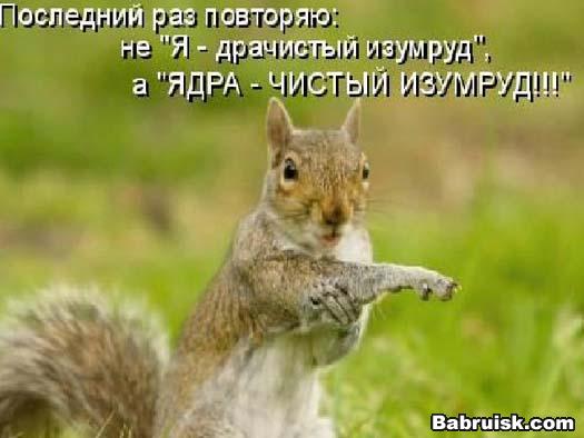 ядра чистый изумруд