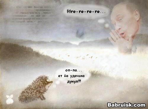 ежик в тумане