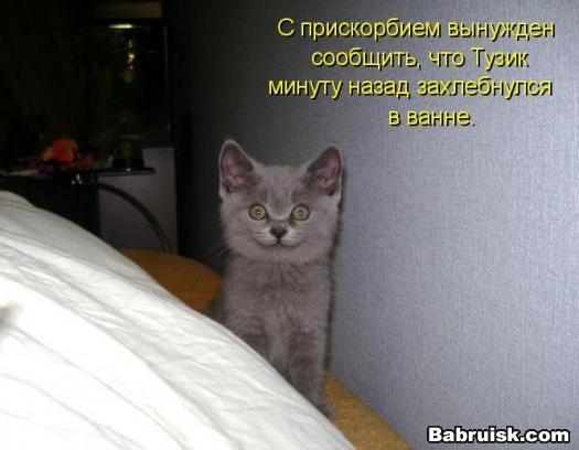 тузик