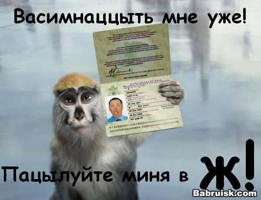 целует жопу