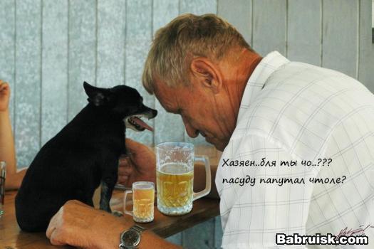 пивко