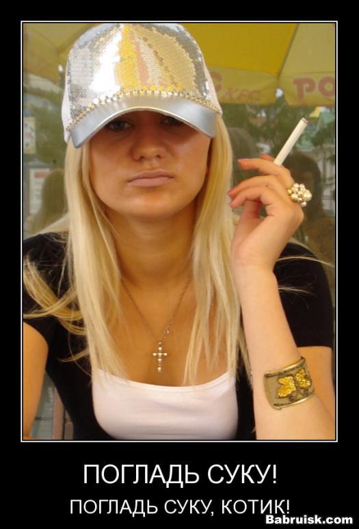 какая-то сука