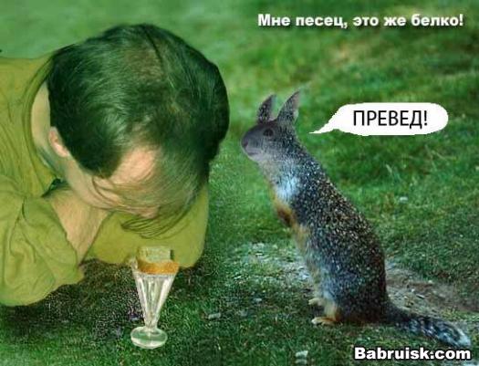 белка