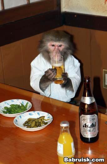 monkey