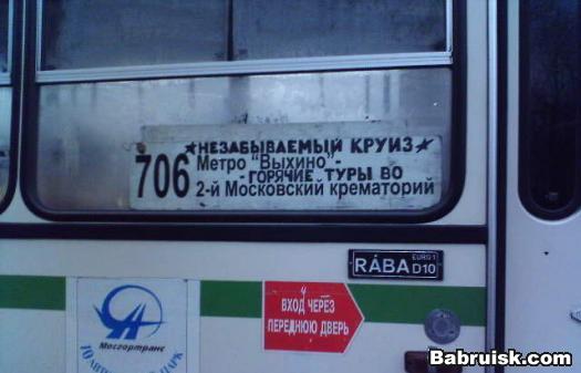 горящие туры! новогодние скидки на все направления! в Бабруйск, животные!