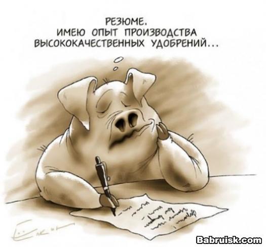 ищу работы