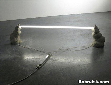 котики