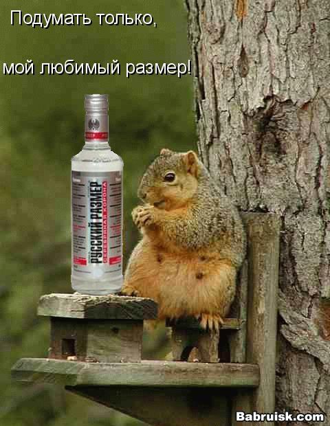 белая горячка. русский размер