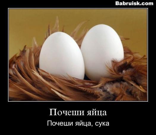 яйца. мужские. безворсовые