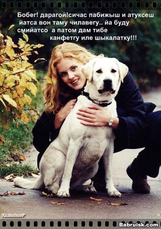 откусили яйца