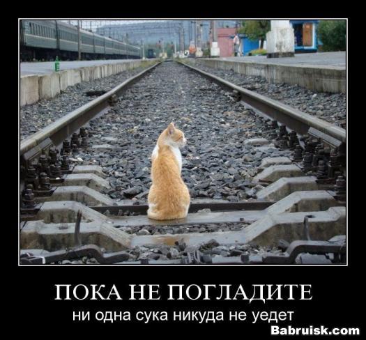 каренина