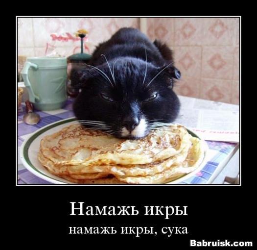 сука