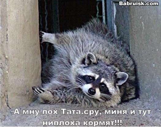 сру