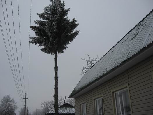 здыбанка