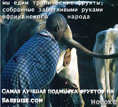 мойте фрукты, суки!