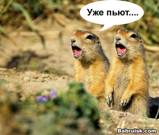 пятница