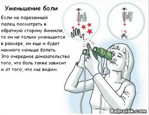 мозги
