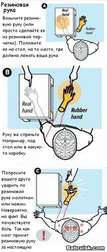 мозги