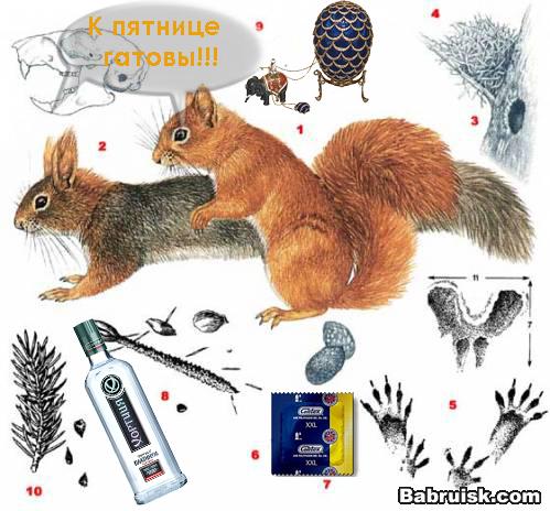 пятничные белки