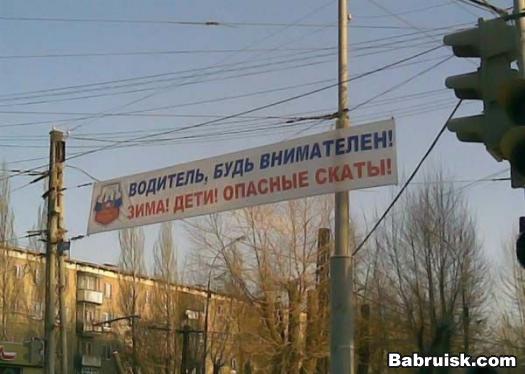 скаты