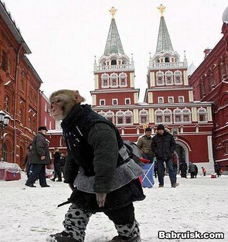 проститутки москвы