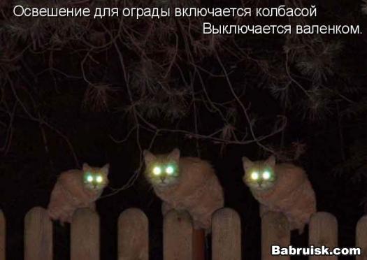дальний свет