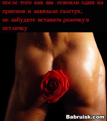 галстук. роза в жопе